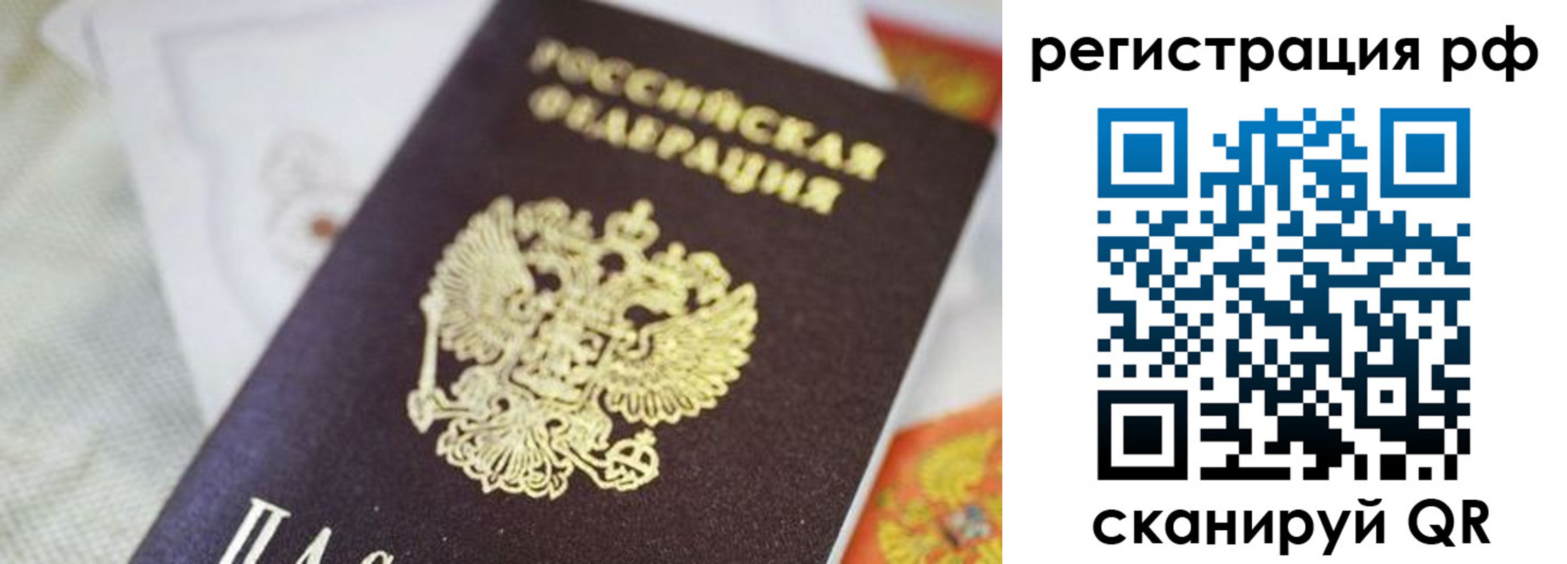 прописка гарантия в Курчатове